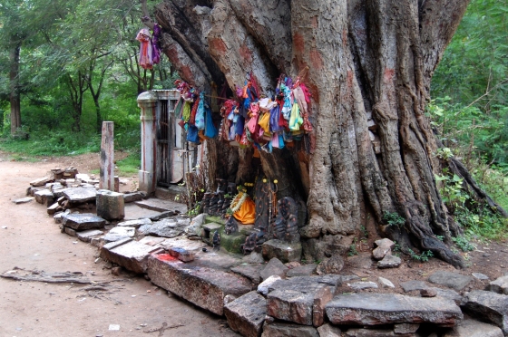 offerings at a nearby tree